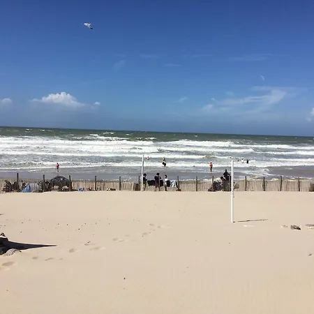 Bienvenue à Sainte Cécile