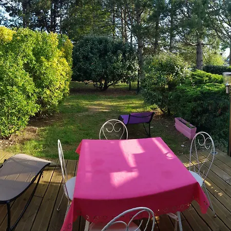 Bienvenue à Sainte Cécile * Camiers